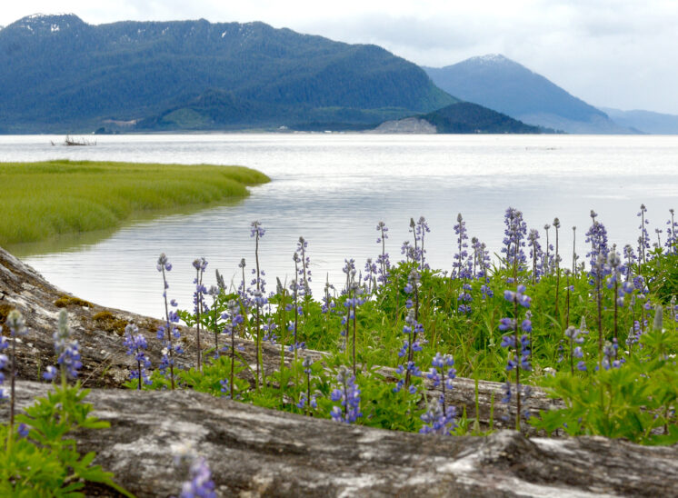 Scenic Alaska waterway