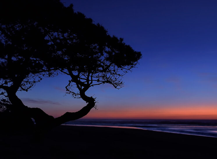 Sunset quietude at Cannon Beach on the Oregon Coast with a Madrone tree silhouette. Jerry and Lois Photography