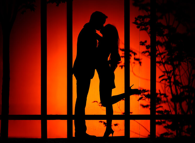 A romantic kiss between newlyweds, silhouetted and backlit against a garden backdrop. Jerry and Lois Photography