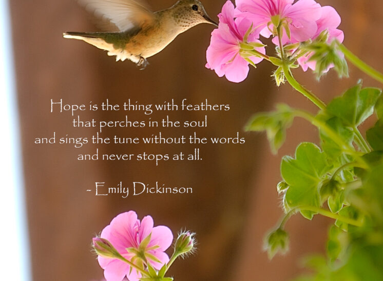 A delicate moment with a hummingbird. © Jerry and Lois Photography, all rights reserved
