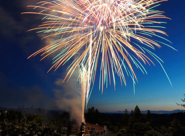 A colorful burst of 4th of July Fireworks over a crowd of excited attendees. Jerry and Lois Photography